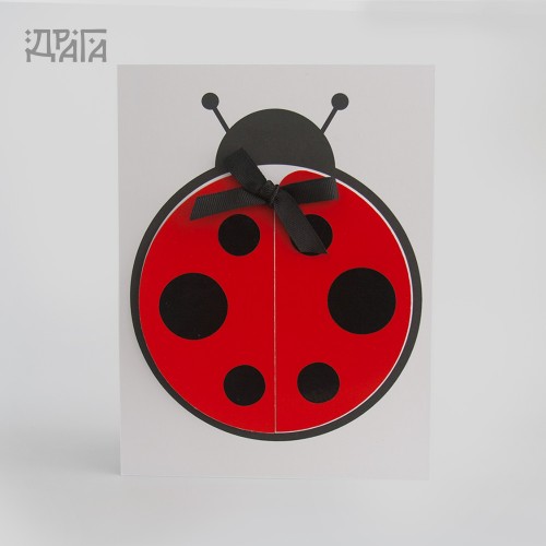 Покана за детски рожден ден LADYBUG 1