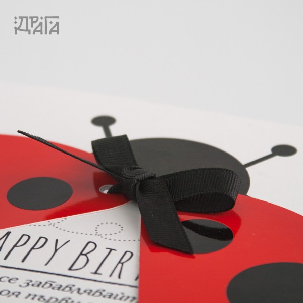 Покана за детски рожден ден LADYBUG 1
