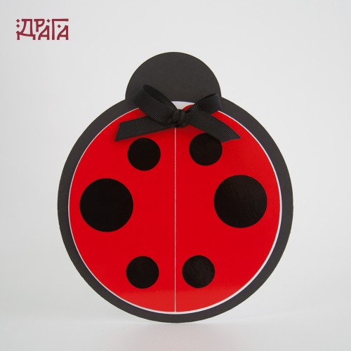 Покана за детски рожден ден LADYBUG 2